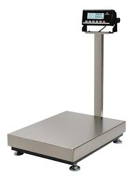 Platform Scales