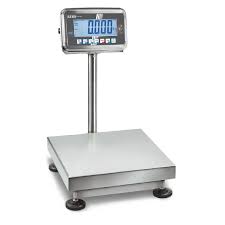 Platform Scales